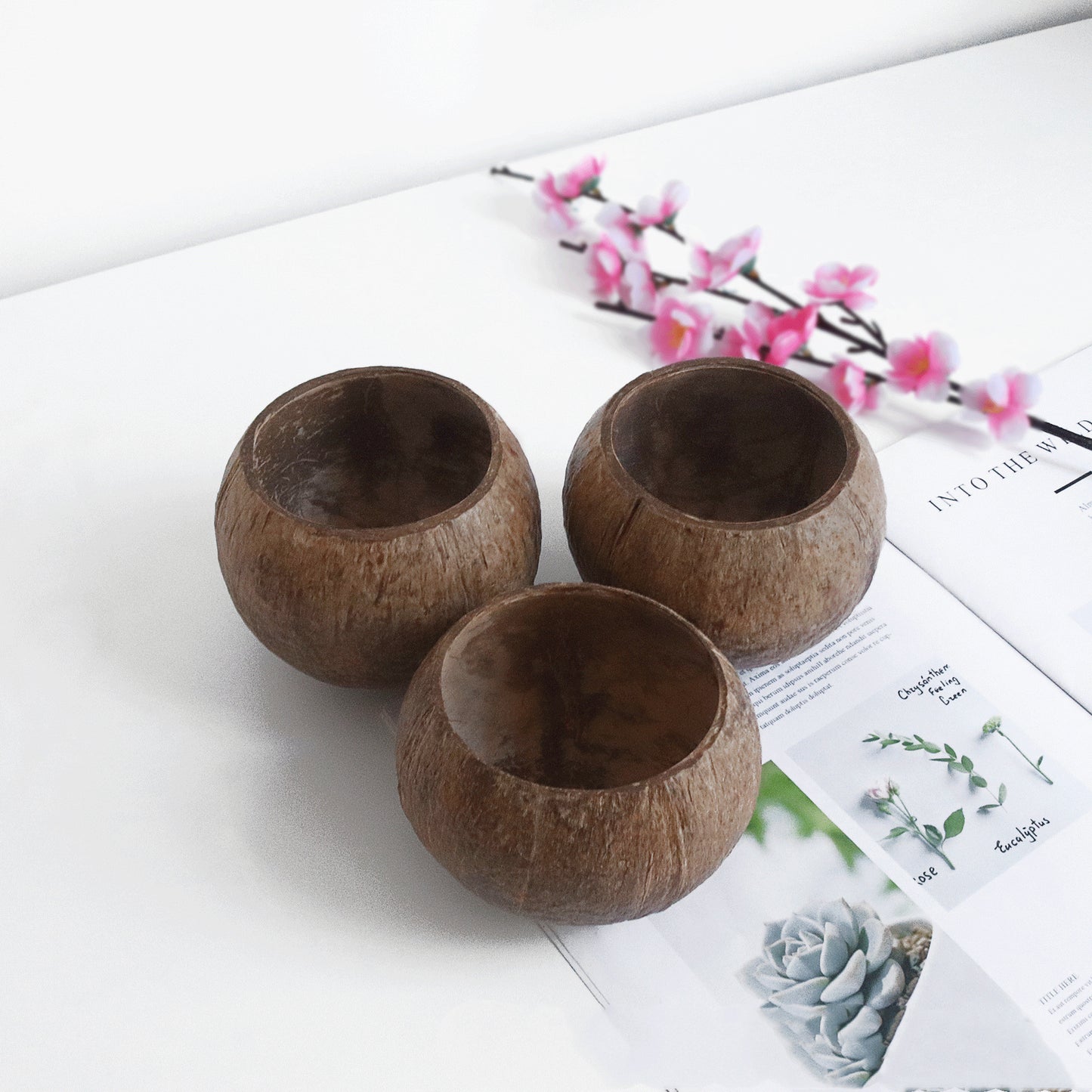 Candle Coconut Shell Bowl Wood