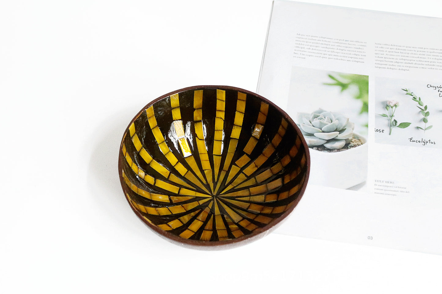 Beautiful Coconut Crafted Decorative bowl